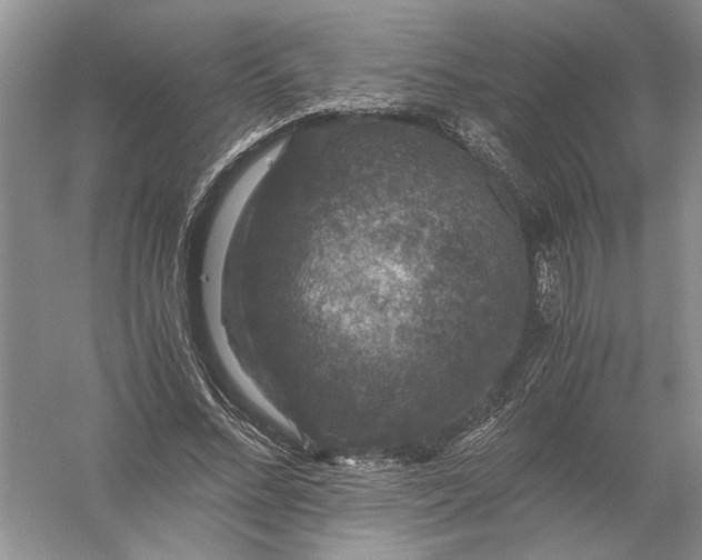 X0000056000684200509092046