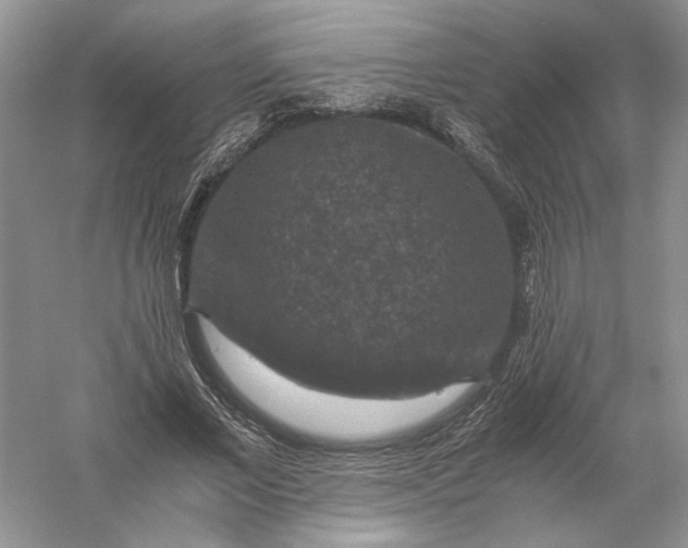 X0000056000685200509092046