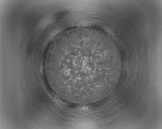 X0000056000687200509092046