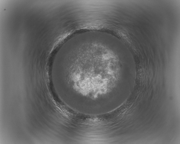 X0000056000688200509092046