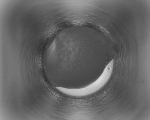 X0000056000689200509092046