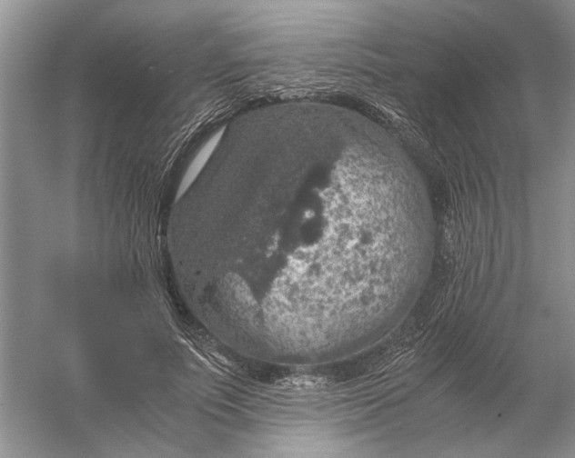 X0000056000691200509092046