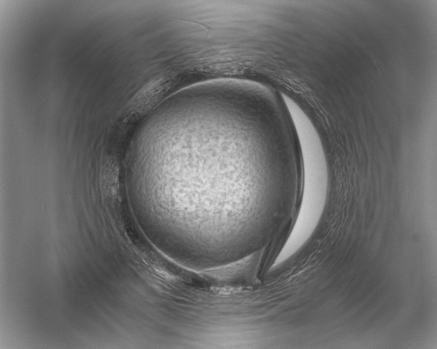 X0000056000693200509092046