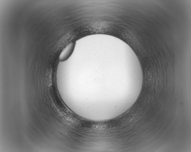 X0000056000694200509092046