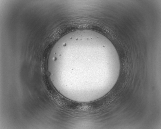 X0000056000695200509092046