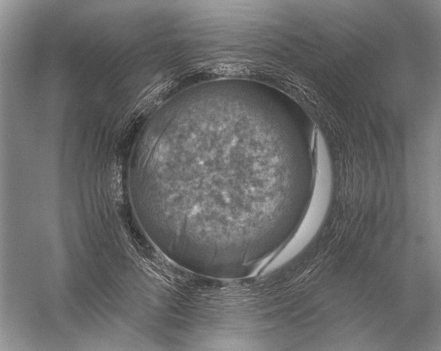 X0000056000696200509092046