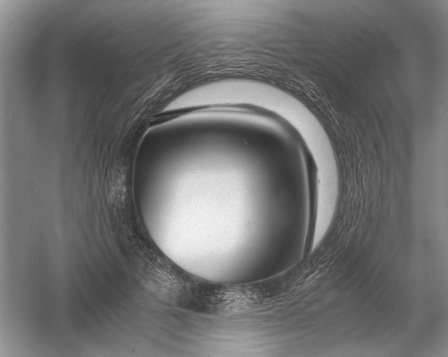 X0000056000697200509092046