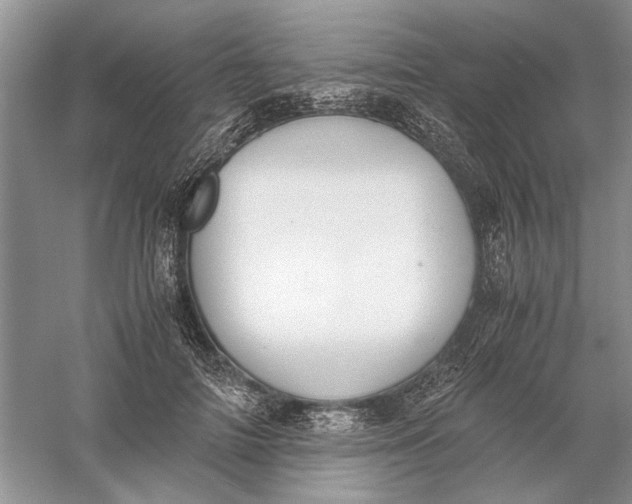 X0000056000698200509092046