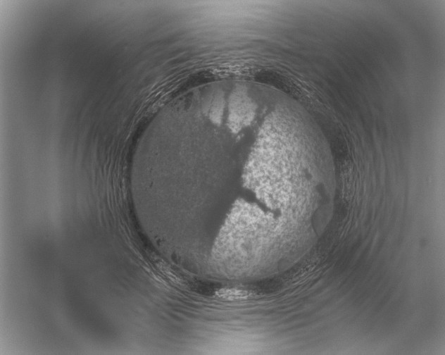 X0000056000699200509092046