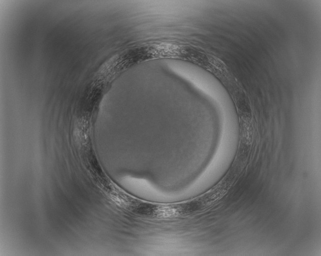 X0000056000701200509092046