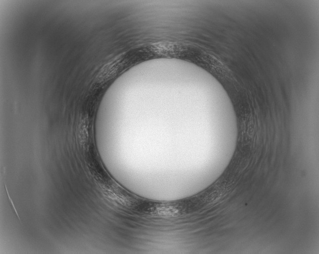 X0000056000702200509092046