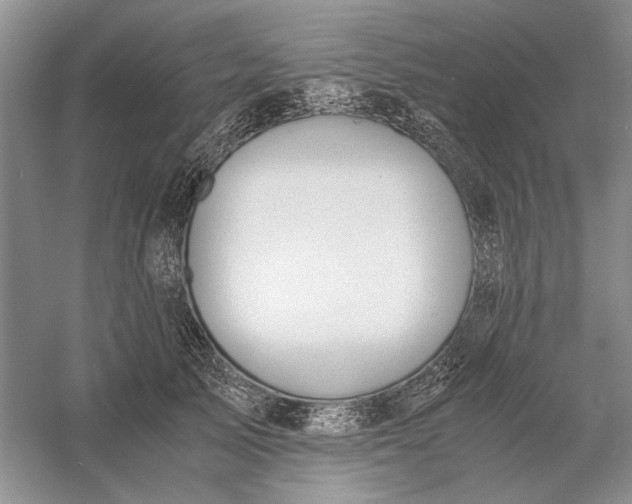 X0000056000705200509092046