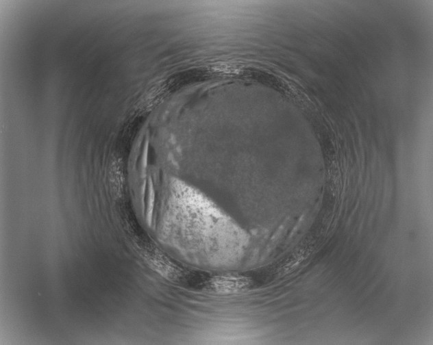 X0000056000707200509092046