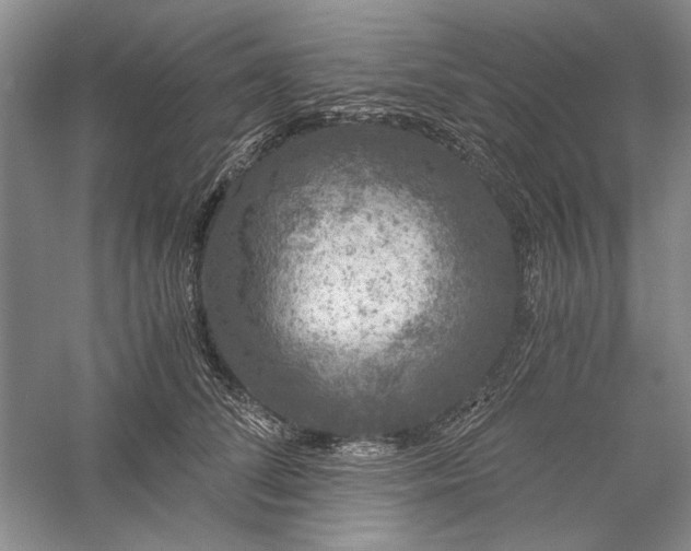 X0000056000708200509092046