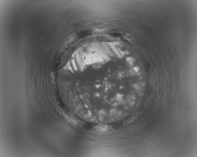 X0000056000711200509092046