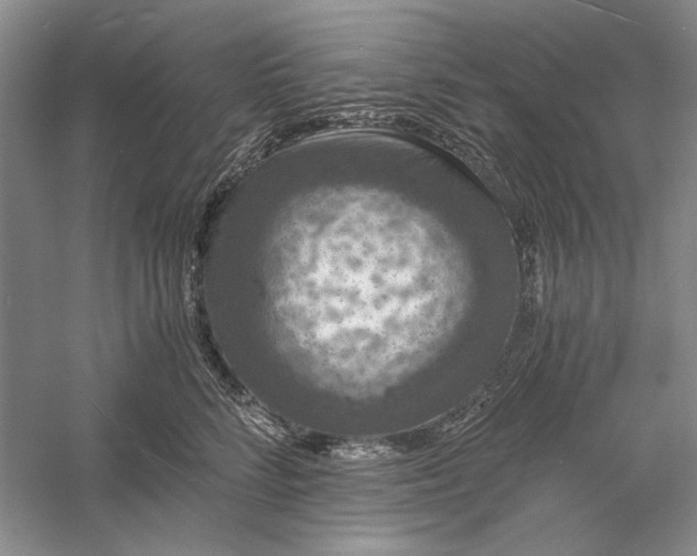 X0000056000712200509092046