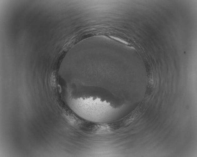 X0000056000715200509092046