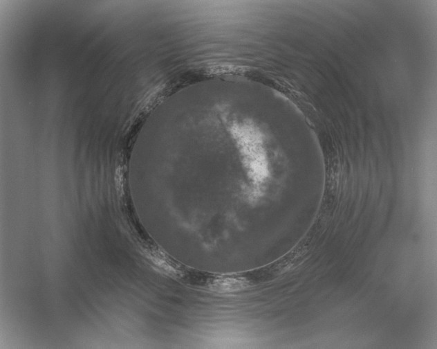 X0000056000716200509092046