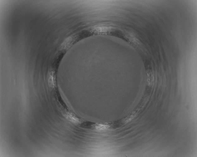 X0000056000718200509092046