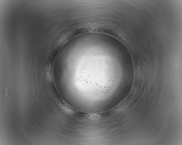 X0000056000719200509092046