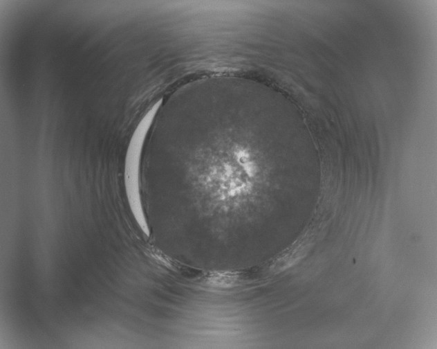 X0000056000720200509092046