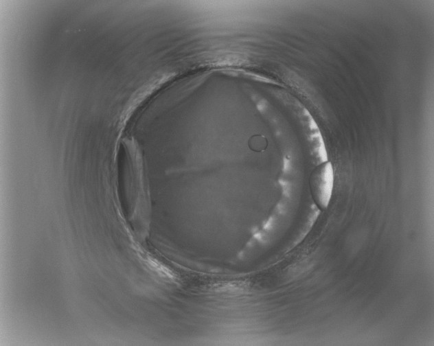 X0000056000721200509092045