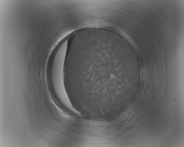 X0000056000722200509092045