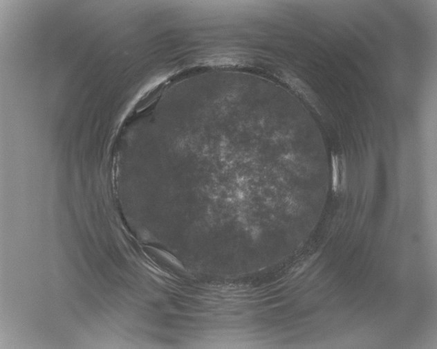 X0000056000723200509092045