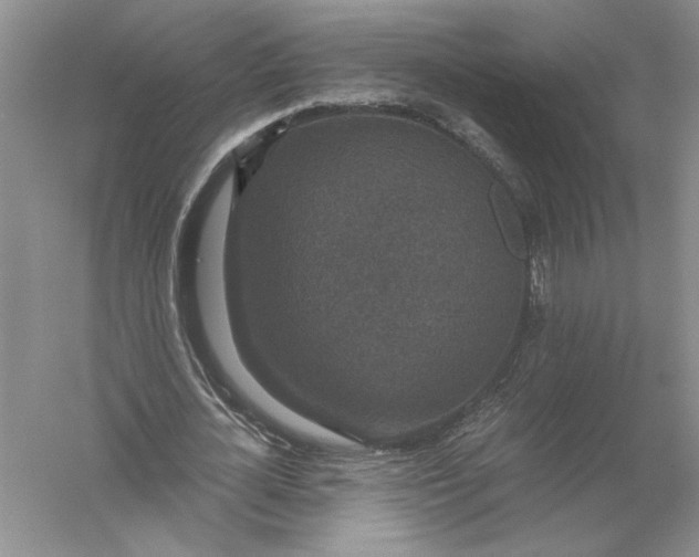 X0000056000724200509092045