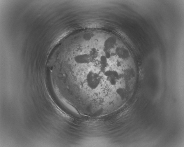 X0000056000725200509092045