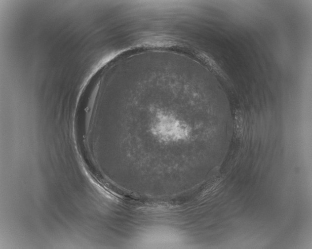 X0000056000726200509092045