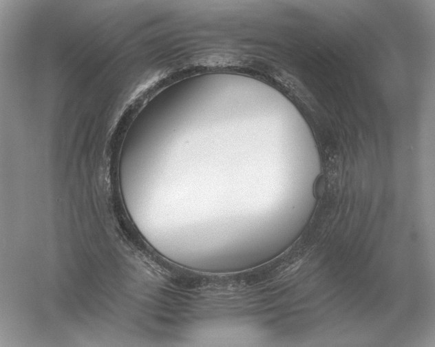 X0000056000727200509092045