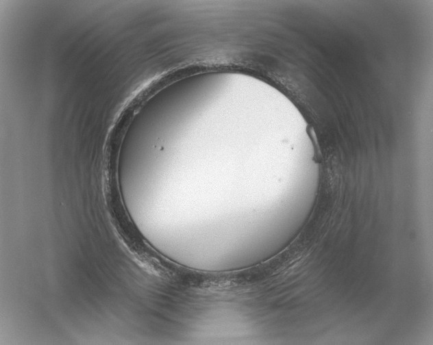 X0000056000728200509092045