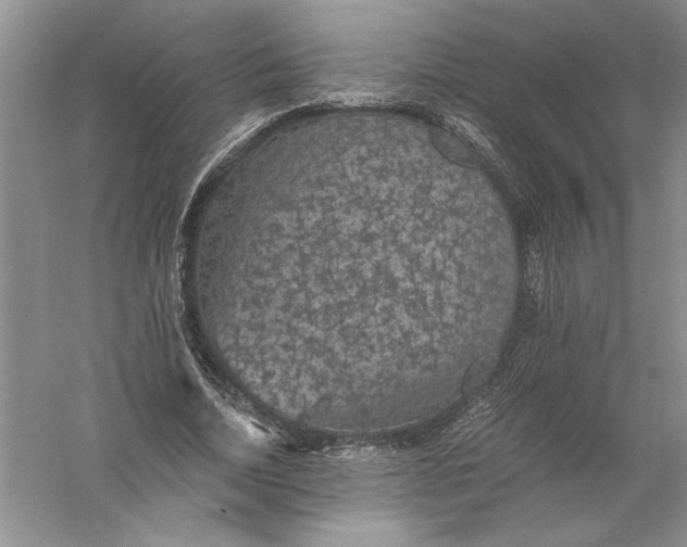 X0000056000730200509092045