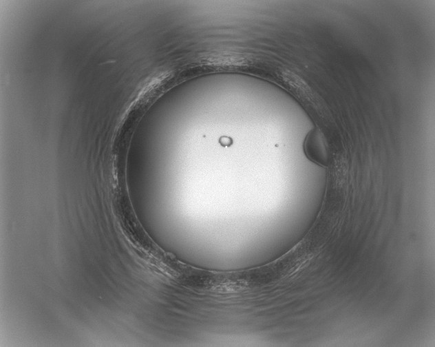 X0000056000731200509092045