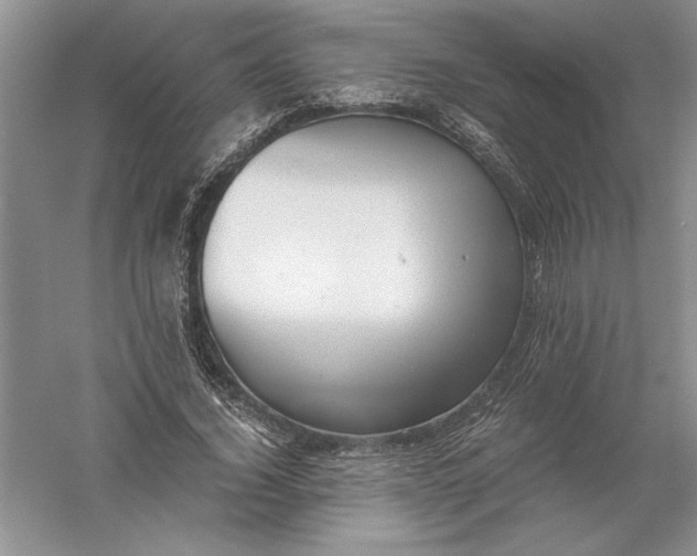 X0000056000732200509092045