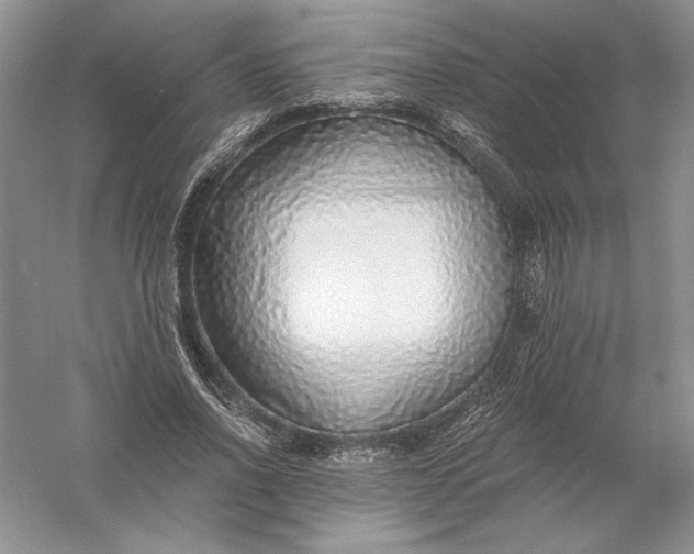 X0000056000734200509092045