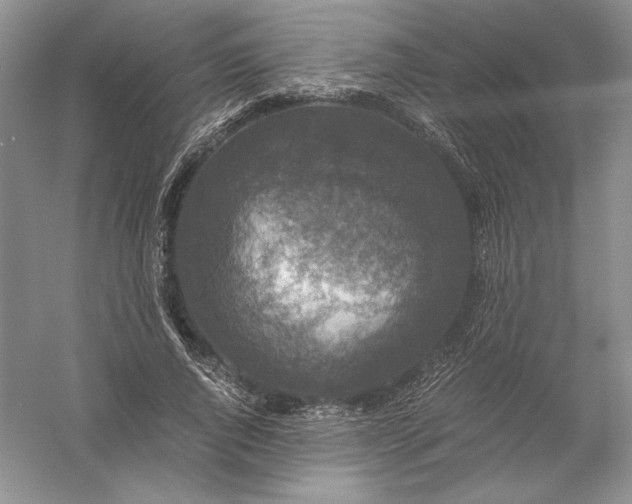 X0000056000736200509092045