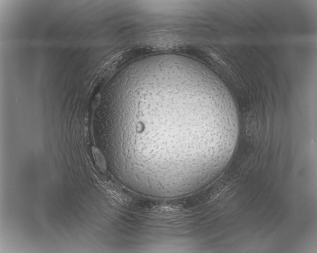 X0000056000737200509092045