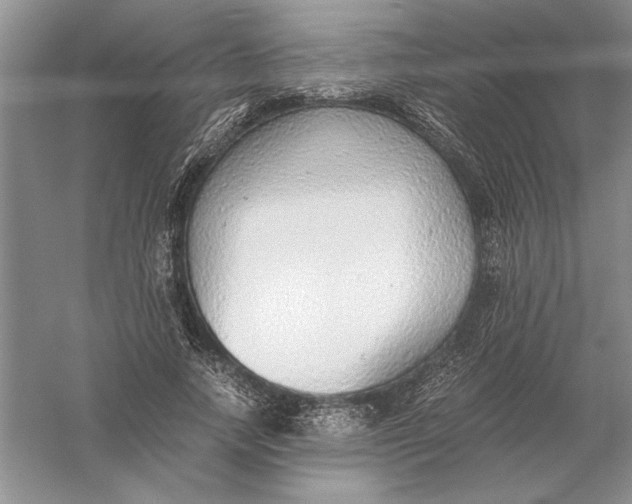 X0000056000738200509092045