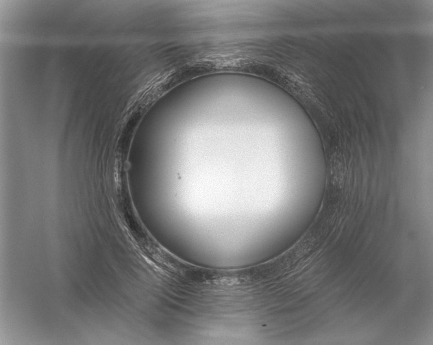 X0000056000740200509092045