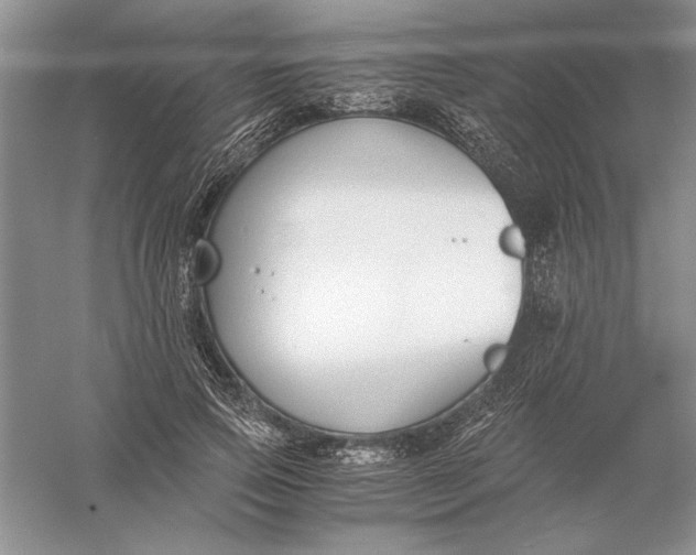 X0000056000741200509092045