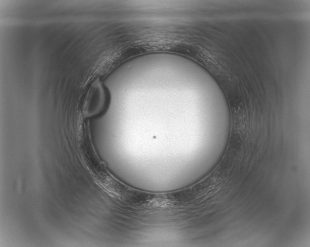 X0000056000742200509092045