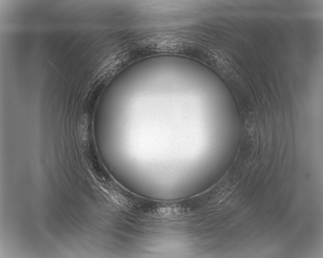 X0000056000744200509092045