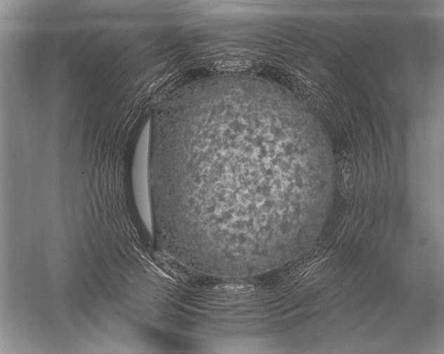 X0000056000745200509092045