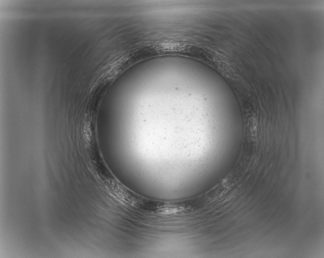 X0000056000746200509092045