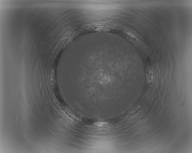 X0000056000748200509092045