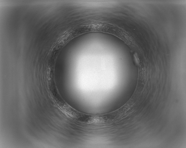 X0000056000750200509092045