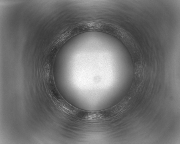 X0000056000752200509092045