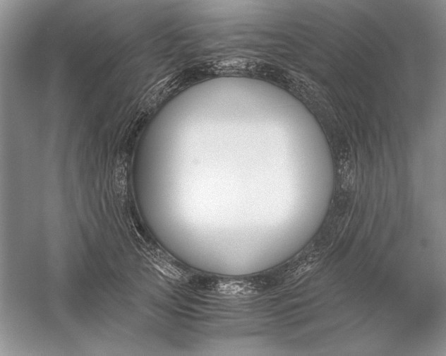 X0000056000753200509092045